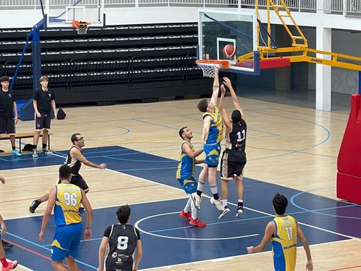 CB Sauces EB Felipe Antón | Grupo Hidroser CB Las Palmas de Gran Canaria