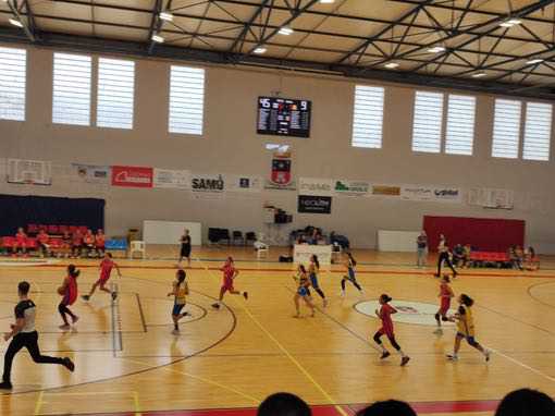 CB Telde | Infantil femenino CB Las Palmas