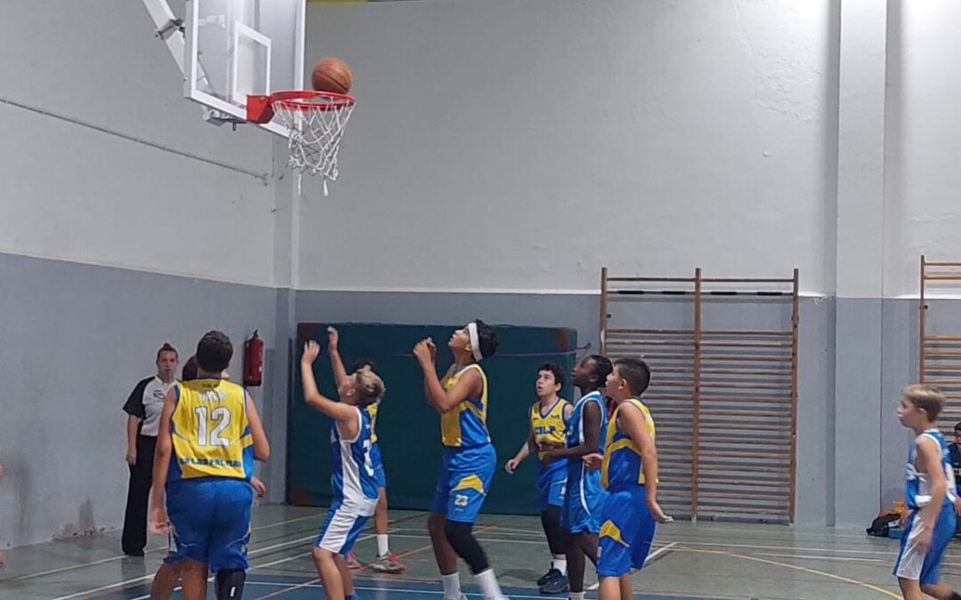 CB Valsequillo | Preinfantil CB Las Palmas