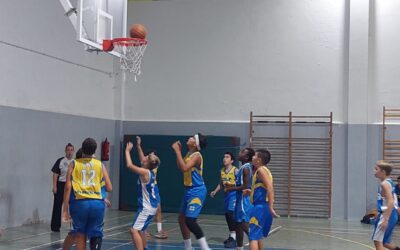 CB Valsequillo | Preinfantil CB Las Palmas