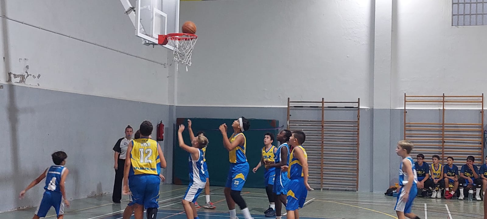 CB-Valsequillo-Preinfantil-Hidroser-CB-Las-Palmas-de-Gran-Canaria-19-10-2024-2