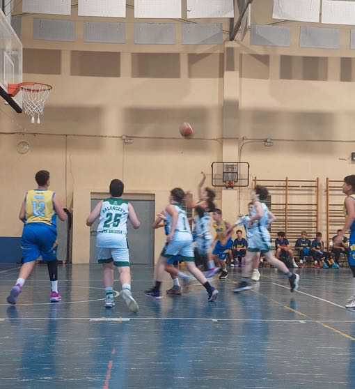 CB Santa Brígida | Preinfantil CB Las Palmas