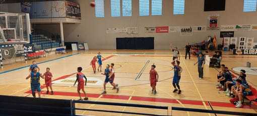 CB-Telde-Preinfantil-CB-Las-Palmas-de-Gran-Canaria-15-12-2024-5