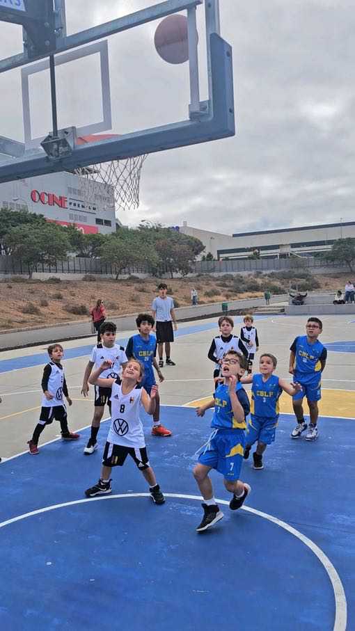 CD-Heidelberg-Prebenjamin-CB-Las-Palmas-de-Gran-Canaria-19-01-2025-24