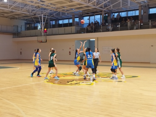Canterbury | Infantil femenino CB Las Palmas