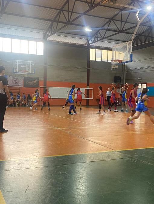 Infantil-femenino-CB-Las-Palmas-de-Gran-Canaria-CB-Telde-08-02-2025-19