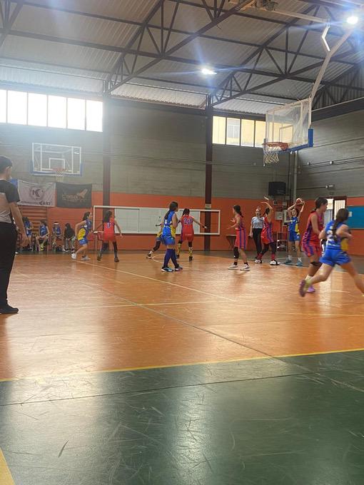 Infantil femenino CB Las Palmas de Gran Canaria-CB Telde-08-02-2025 Infantil-femenino-CB-Las-Palmas-de-Gran-Canaria-CB-Telde-08-02-2025-19