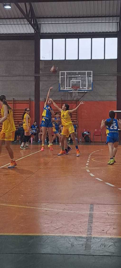 Infantil femenino CB Las Palmas de Gran Canaria-Gran Canaria-25-02-2025 Infantil-femenino-CB-Las-Palmas-de-Gran-Canaria-Gran-Canaria-25-02-2025-27
