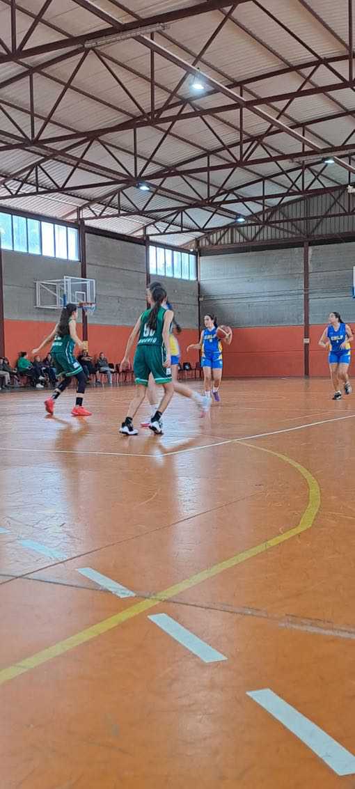 Precadete femenino CB Las Palmas de Gran Canaria-CB Ingenio-23-02-2025 Precadete-femenino-CB-Las-Palmas-de-Gran-Canaria-CB-Ingenio-23-02-2025-5