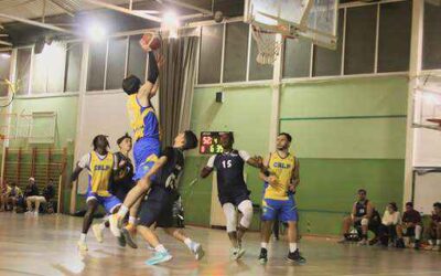 CB Basket Tara | Senior Insular CB Las Palmas de Gran Canaria