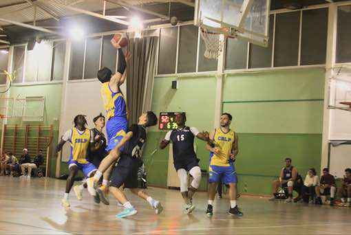 CB Basket Tara | Senior Insular CB Las Palmas de Gran Canaria