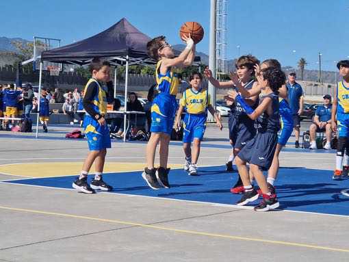 Prebenjamin-CB-Las-Palmas-de-Gran-Canaria-CD-Loyola-16-03-2025-36
