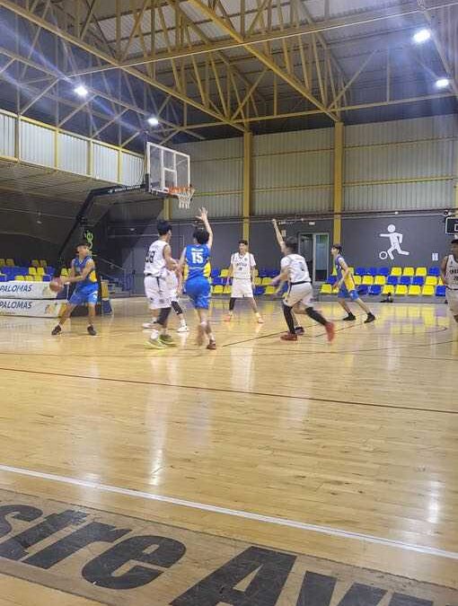 Precadete Teresiano CB Las Palmas | Club de Baloncesto Castillo