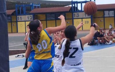 Brains FX | Infantil femenino CB Las Palmas