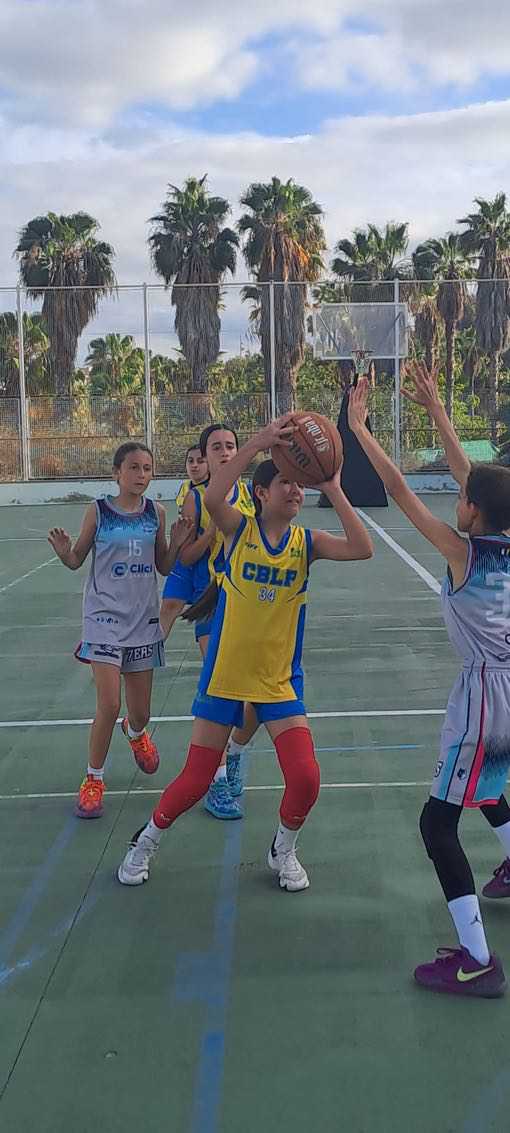 CB-7-Palmas-Infantil-femenino-CB-Las-Palmas-de-Gran-Canaria-08-04-2025-13