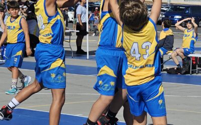 CD Loyola | Benjamín CB Las Palmas